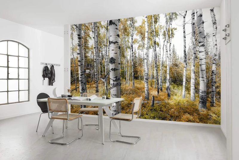 Komar SHX9-015 Non-Woven Photo Wallpaper Colourful ASPENWOODS XXL Decoration Nature Landscape Bedroom Living Room Office Hallway 450 x 280 cm (Width x Height) Multi-Coloured