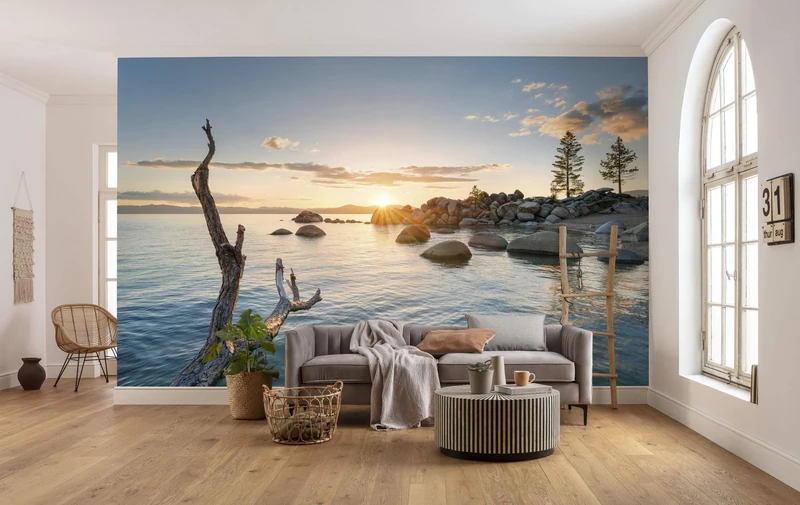 Komar Final Light Non-Woven Photo Wallpaper XXL Decoration Nature Landscape Bedroom Living Room Office Hallway Size 450 x 280 cm (W x H): SHX9-032 Colourful