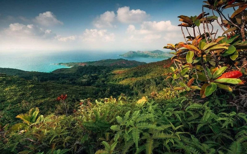 Komar SHX9-043 Non-Woven Photo Wallpaper Heavens Balcony XXL Decoration Nature Landscape Bedroom Living Room Office Hallway 450 x 280 cm (Width x Height) Multi-Coloured