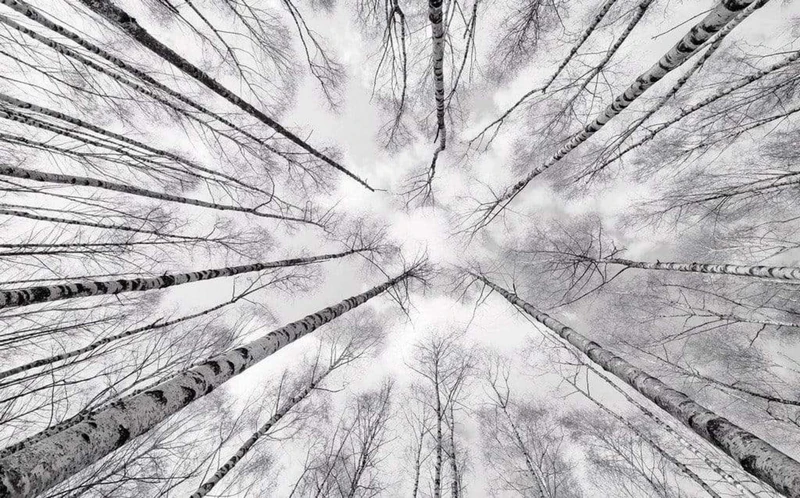 Komar SHX9-093 Non-Woven Photo Wallpaper, XXL, Decoration, Nature, Landscape, Bedroom, Living Room, Office, Hallway, Size 450 x 280 cm (Width x Height) Multi-Coloured