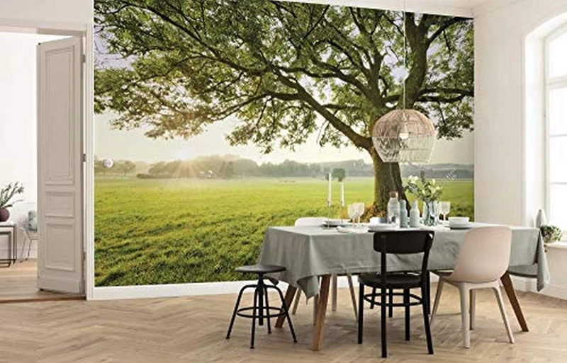 Komar SHX9-086 Non-Woven Photo Wallpaper XXL Decoration Nature Landscape Bedroom Living Room Office Hallway 450 x 280 cm (Width x Height) Multi-Coloured
