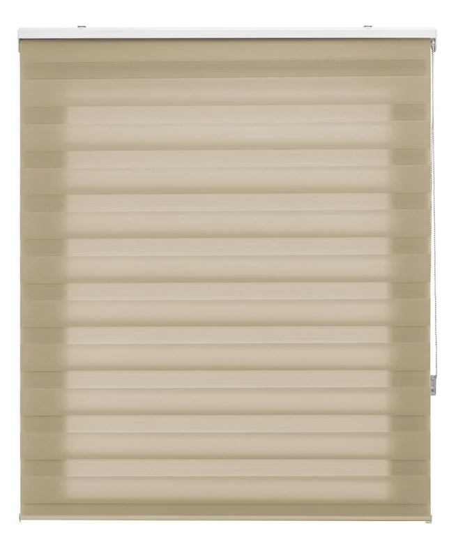 Blindecor | Night and Day Roller Blind Customised | Double Layer | Beige | 65 x 250 cm (W x H) Fabric Size 62 x 245 cm | Window Blinds