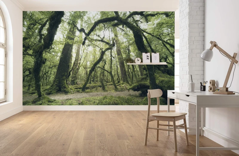 Komar SHX9-104 Non-Woven Photo Wallpaper XXL Decoration Nature Landscape Bedroom Living Room Office Hallway 450 x 280 cm Wide x Height Multi-Coloured