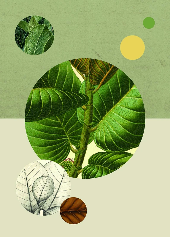 Komar Wall Picture Green Structure | Poster, Picture, Living Room, Bedroom, Decoration, Art Print | Without Frame | P054-50x70 | Size: 50 x 70 cm (Width x Height) - Image 1