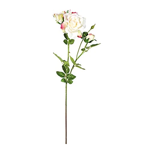 EUROCINSA Ref. 47407C02 Lady Ivory with Pink, Box of 6, 82 cm - Image 1