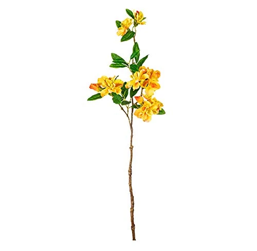 EUROCINSA Ref.41500C10 AZALEA BELGA YELLOW, Box of 12, 70 cm - Image 1