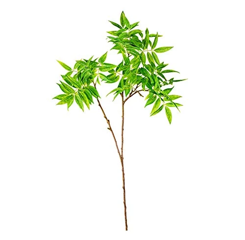 EUROCINSA Ref.40600C50 ACIA GREEN Branch, Box of 6pcs, 95cm