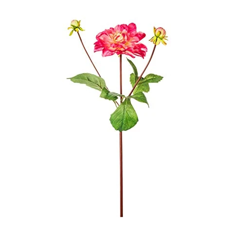 EUROCINSA Ref.78330C25 DALIA WITH 2 FUCSIA-IVORY CAPULS, 12pcs, 38cm