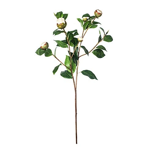 EUROCINSA Ref.61802C01 White Camellia Caps, Box of 12, 70 cm