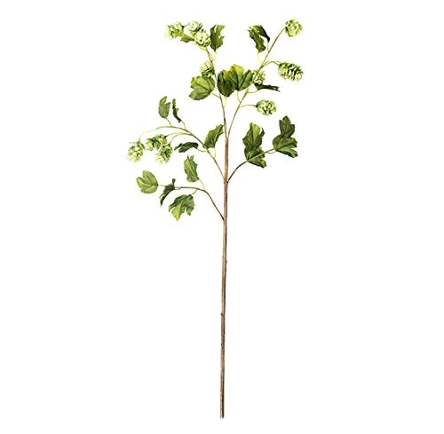 EUROCINSA Ref.62319C52 GREEN LUPO, Box of 12pcs, 97 cm