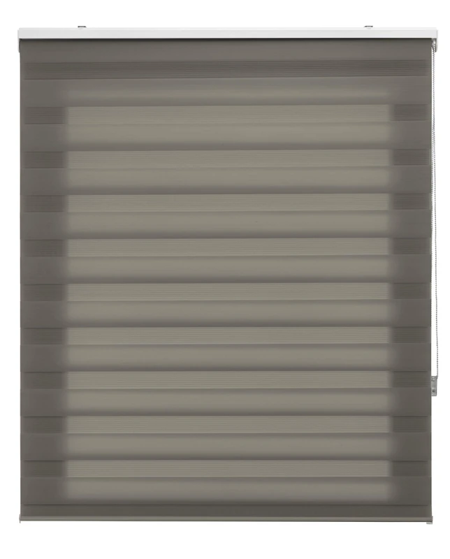 Blindecor | Night and Day Roller Blind to Measure | Double Layer | Anthracite Grey | 120 x 180 cm (W x H) Fabric Size 117 x 175 cm | Window Blinds