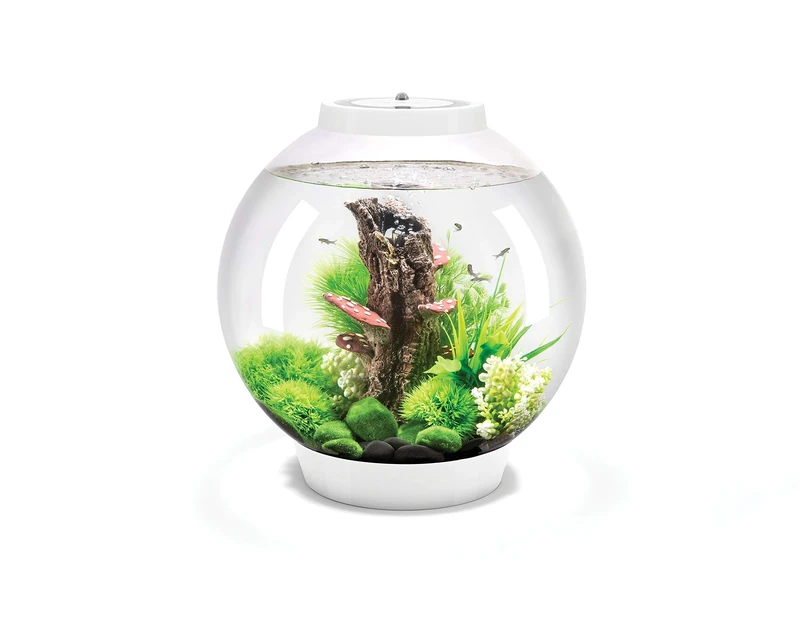 biOrb 72007 CLASSIC 30 LED white - decorative aquarium complete set with filter system, LED lighting and ceramic gravel made of durable acrylic glass