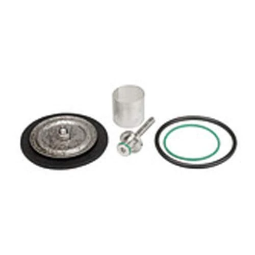 RIEGLER 22.5712.4.16 Wear Parts Set with PTFE Membrane G 1/4