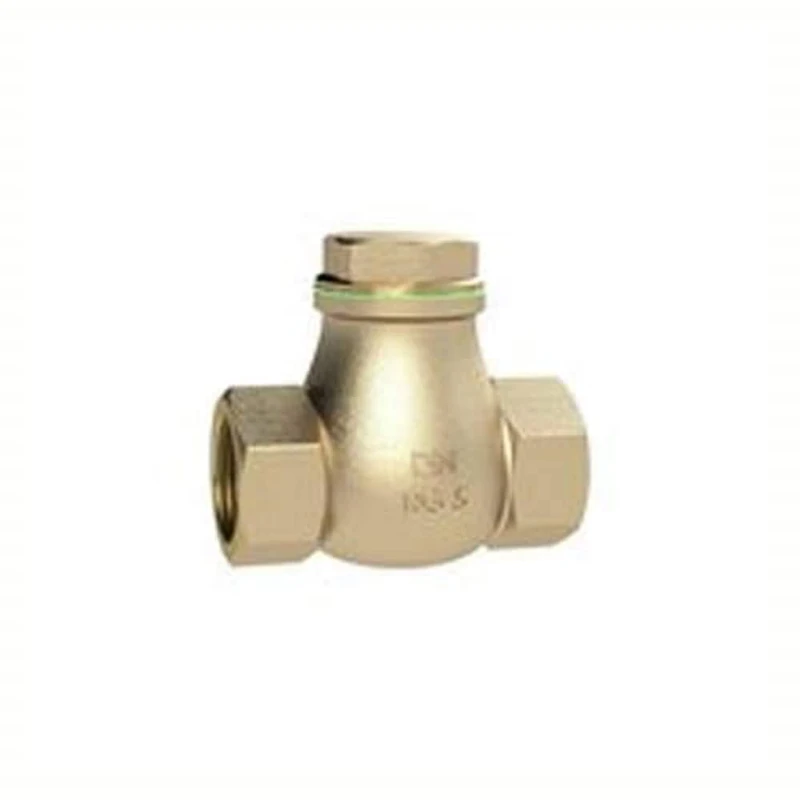 RIEGLER RK12RG Check Valve DN 25 Brass G 1 PN Max. 12 bar