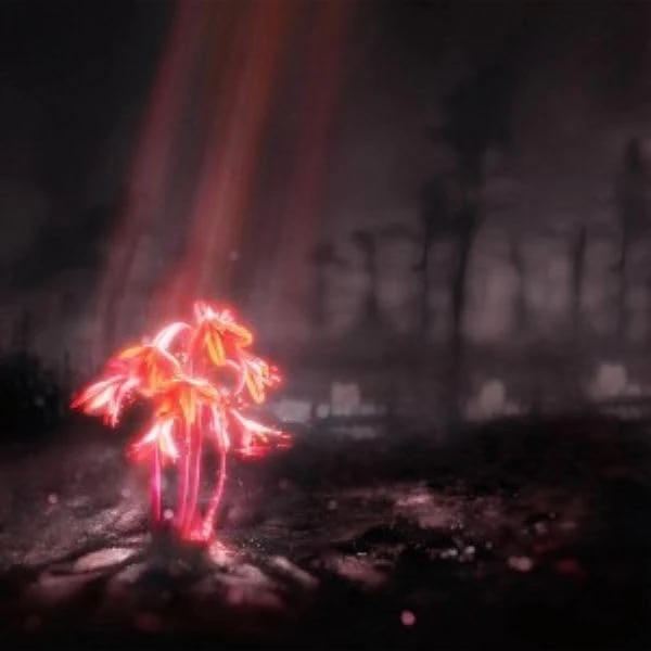 A KISS FOR THE WHOLE WORLD (ORANGE SUNSET VINYL) [VINYL]