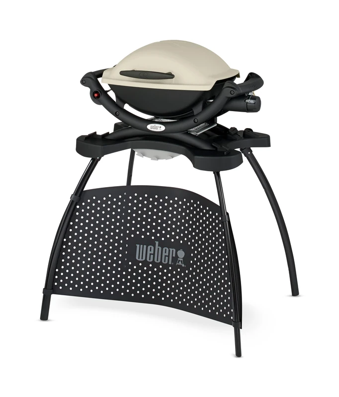 Weber Q1000 Gas Grill with Stand - Titanium Portable BBQ