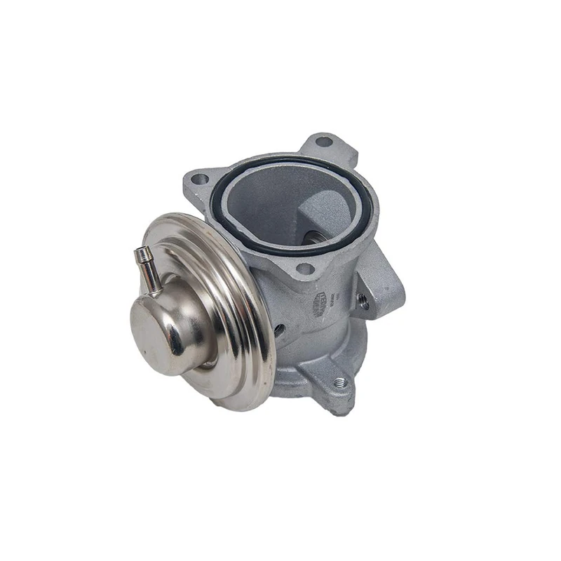 Magneti Marelli 571822112082 - EGR Valve