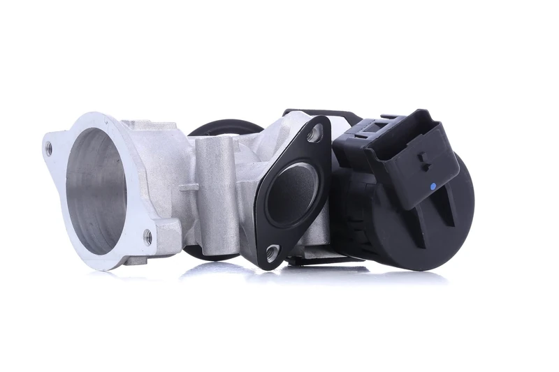 Magneti Marelli EV098 Egr Citroen, Fiat, Lancia - Image 1