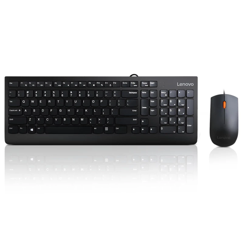 Lenovo 300 USB Combo, Full-Size Wired Keyboard and Mouse, Ergonomic, Left or Right Hand, Optical, GX30M39606, Black
