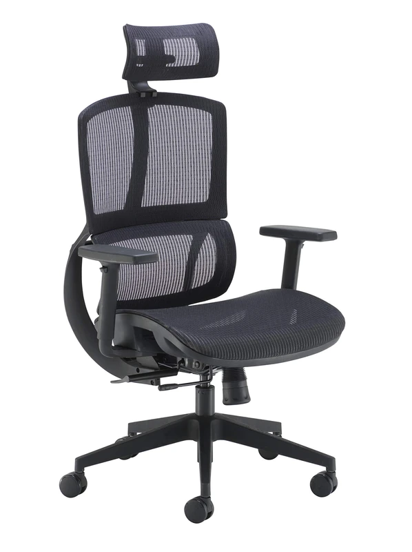 Office Hippo Ergonomic Chair Office, Mesh Office Chair with Arms, Executive Office Chair with Back Support, Adjustable Arms, Swivel, Black