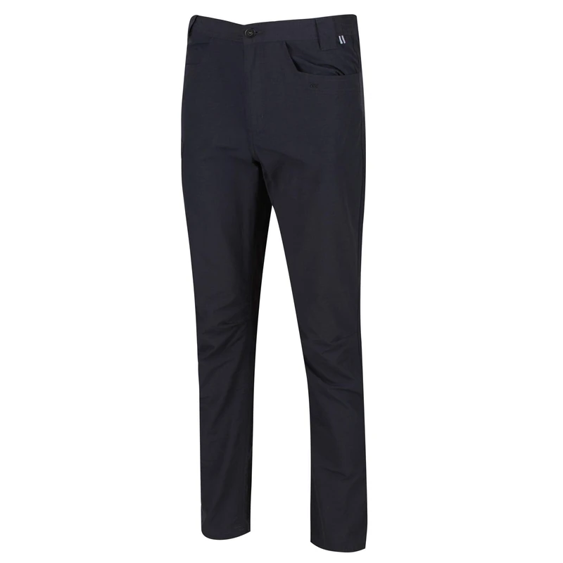 Regatta Delgado Men's Trousers Seal Grey - Image 1