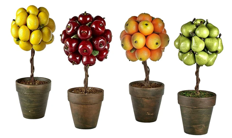 Comarco Sa Pack of 4 fruit trees 14x30 cm - Image 1