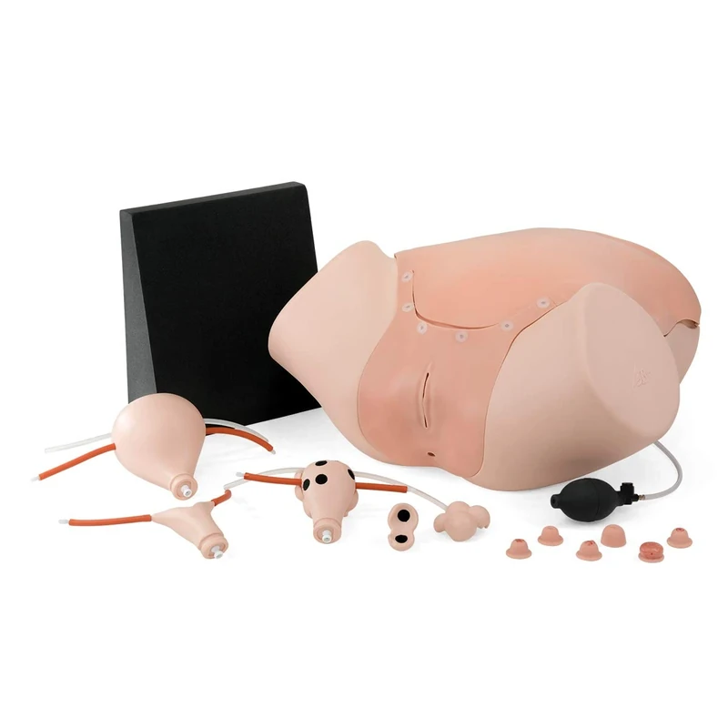 3B Scientific Gynaecology trainer P91