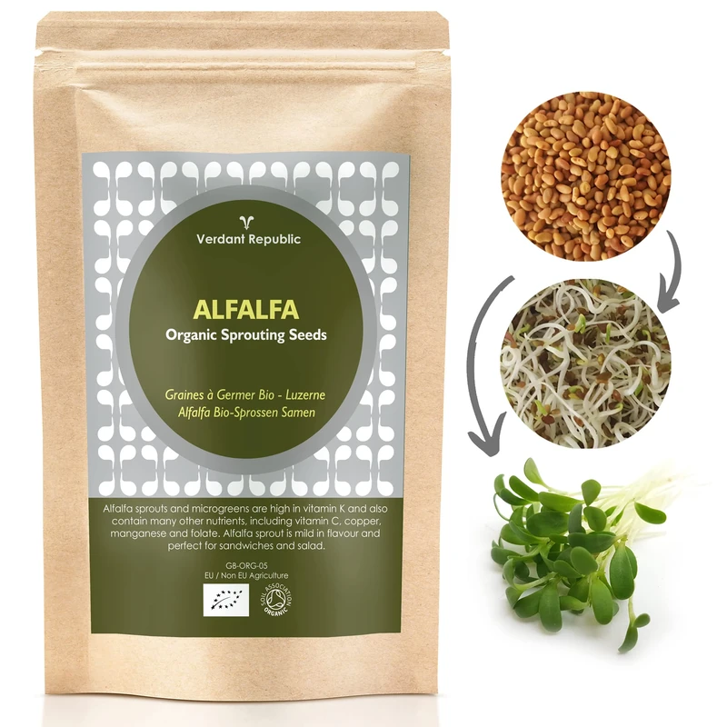 Verdant Republic Organic Alfalfa Sprouting Seeds 1kg | Non GMO Healthy Superfood |Easy to Sprout in 4 Days | High Germination into Microgreens