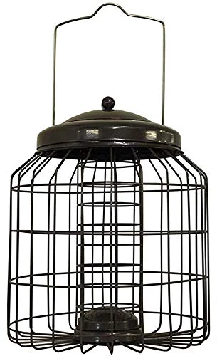Selections Deluxe Heavy Duty Squirrel Proof Suet Fat Ball Hanging Bird Feeder Cage