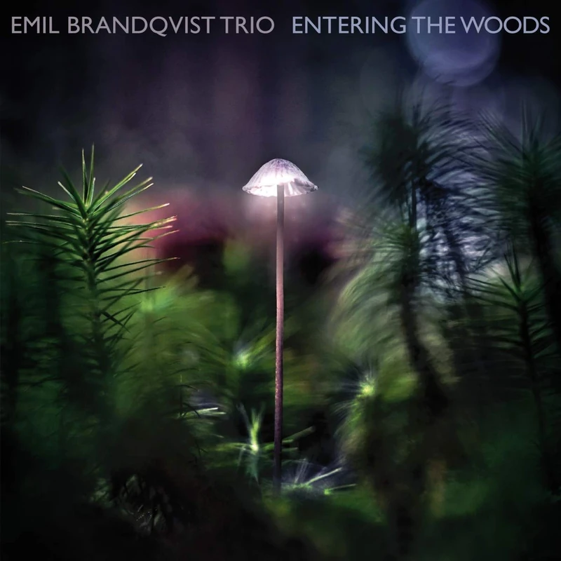 Entering the Woods (Ltd/180gr/Black Vinyl) [VINYL]