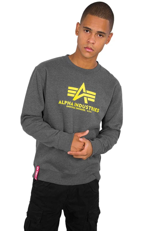 ALPHA INDUSTRIES Men's Basic Sweater Sports Hoodie, charcoal heather, XXS