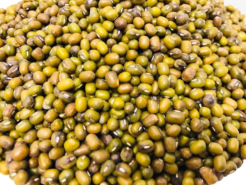 AKSOY Mung Beans - Rich in Protein & Fiber, 25KG