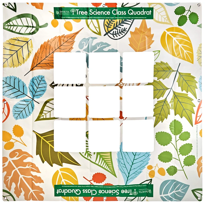 Invicta Education IP197320 Tree Science Class Quadrat, Leaves Design - Image 1