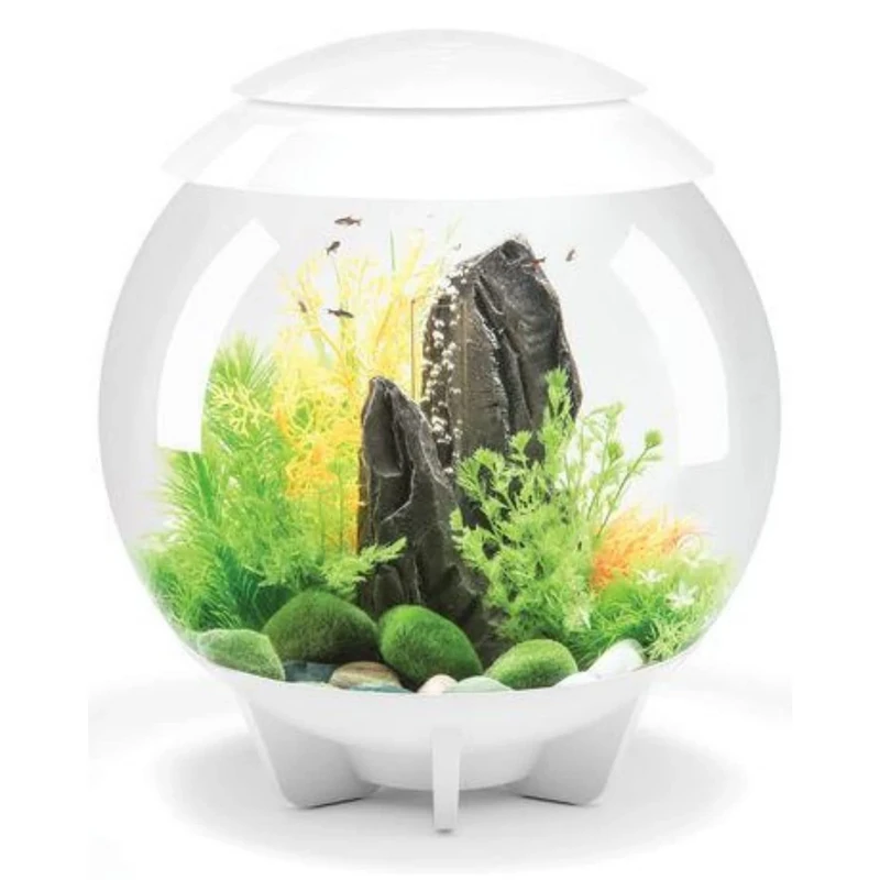 biOrb HALO 30 Acrylic Aquarium, White, MCR Multi-Colour Remote LED Lighting, Premium Fish Tank with Hidden Water Line, 5-Step Filtration, Easy Setup, With Air Pump, Filter Cartridge, Ceramic Media