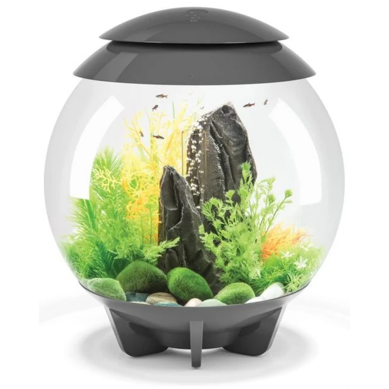 biOrb HALO 30 Acrylic Aquarium, Grey, MCR Multi-Colour Remote LED Lighting, Premium Fish Tank with Hidden Water Line, 5-Step Filtration, Easy Setup, With Air Pump, Filter Cartridge, Ceramic Media