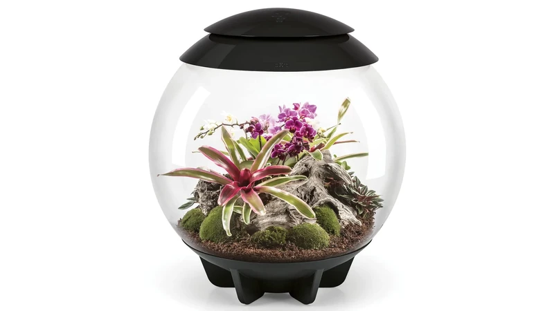 biOrb AIR 60 Terrarium, Fully Automated 360-Degree Tropical Plant Eco-System, Replicates Natural Daylight, Air Movement & Humidity, Easy Setup, Includes Coir Compost, Misting Module & LED Lighting