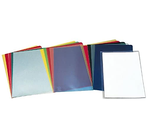 ESSELTE 14600 – Nail File PVC 180 Microns (Box 100 Unit) 30 Transparent Folio