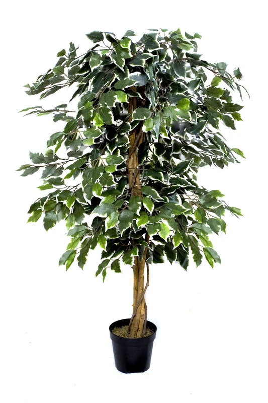 GreenBrokers Premium Artificial Variegated Ficus Tree, Faux Silk, Green, 140cm/4ft