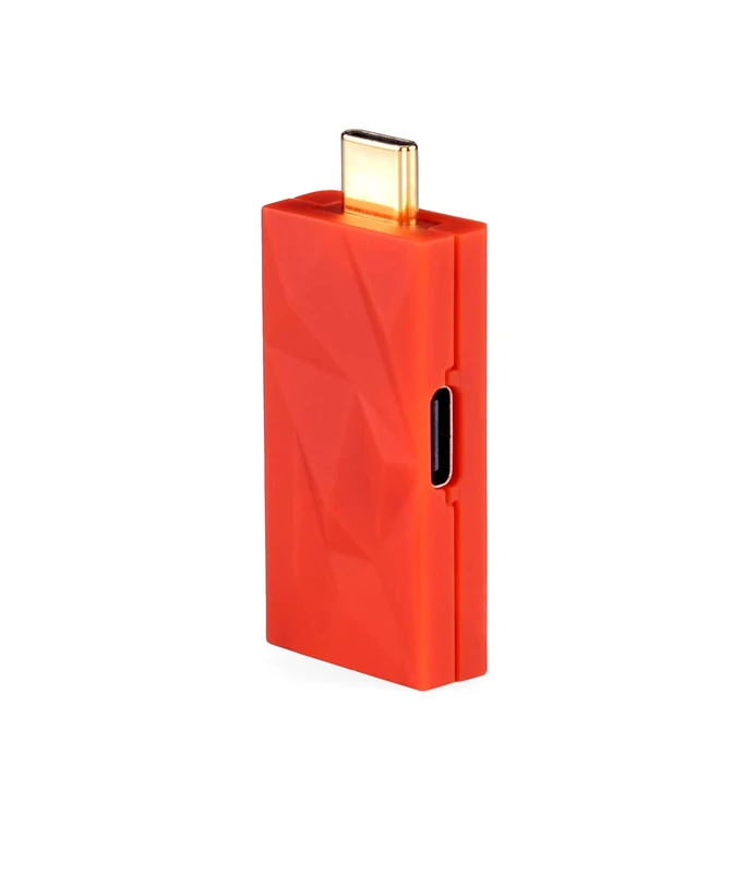 iFi iDefender+ External USB Audio Ground Loop Eliminator (Type C - C) - Image 1