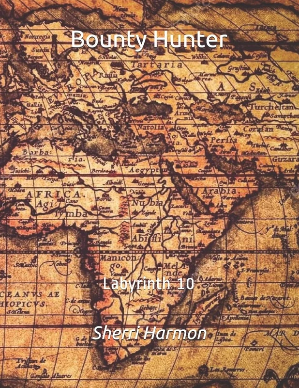 Bounty Hunter: Labyrinth 10