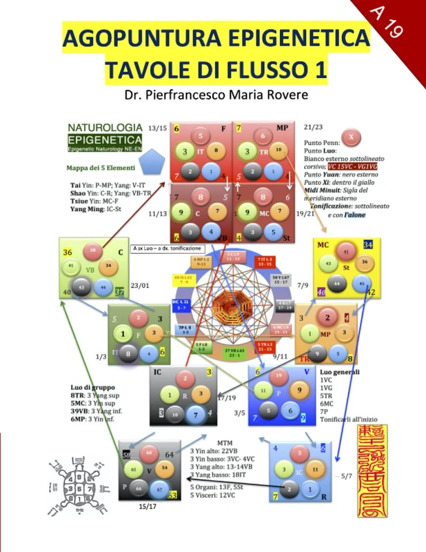 Agopuntura Epigenetica 1: Tavole di Flusso: 19 (Accademia Di Eccellenza AA) - Image 1
