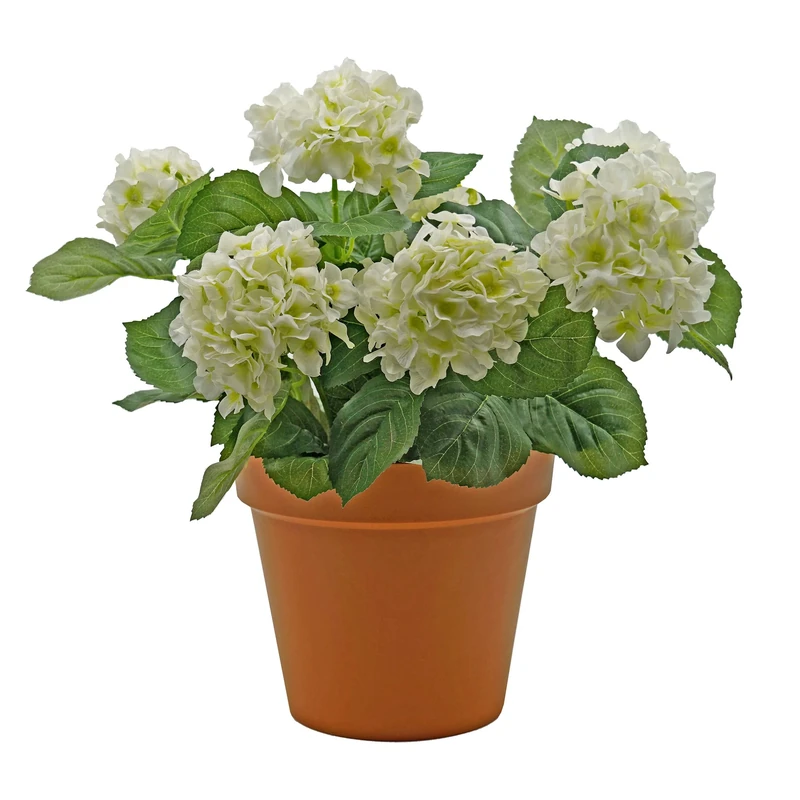 GreenBrokers Premium Quality Artificial White Hydrangea Flower Bush in Terracotta Coloured Pot (50cm) with Nine Flower Clusters for Home or Outdoor Living
