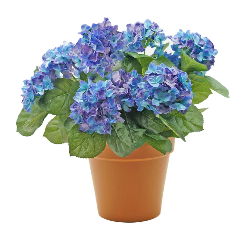 GreenBrokers Premium Quality Artificial Blue Hydrangea Flower Bush in Terracotta Coloured Pot (50cm) with Nine Flower Clusters for Home & Outdoor Living.
