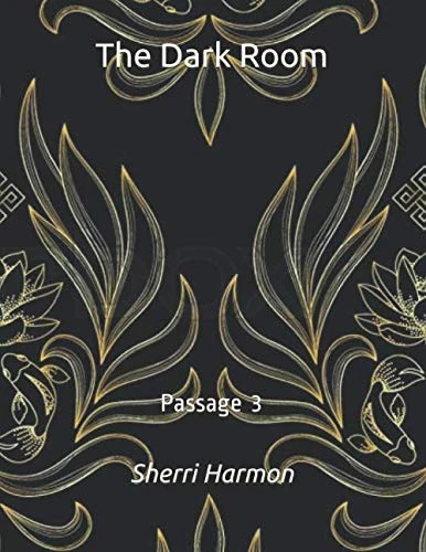 The Dark Room: Passage 3