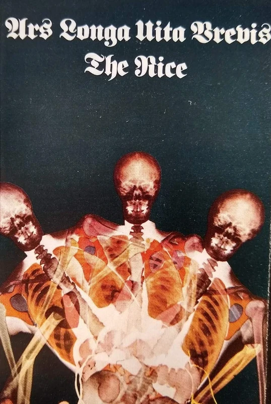 Ars Longa Vita Brevis