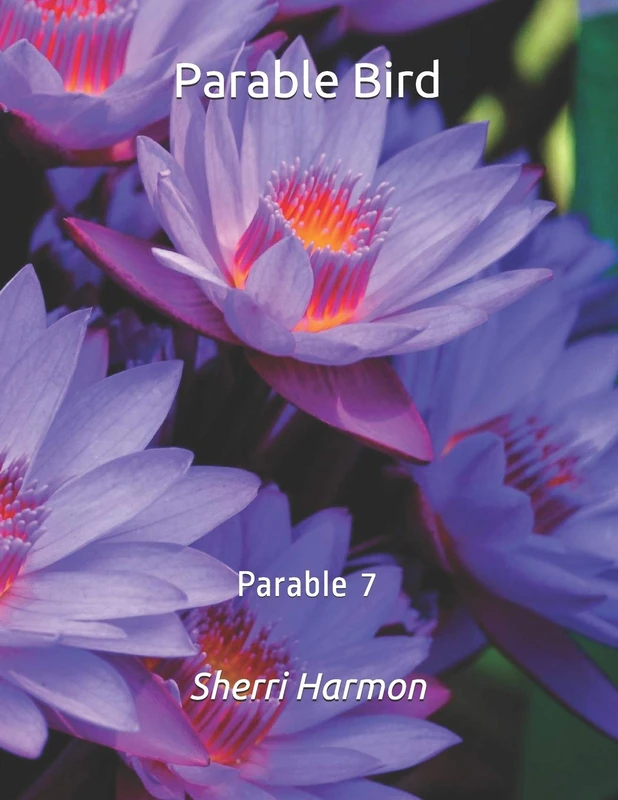 Parable Bird: Parable 7