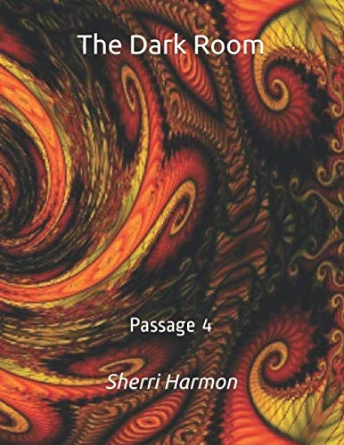 The Dark Room: Passage 4 - Independently Published Book