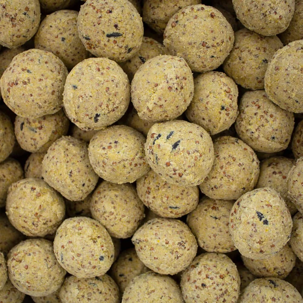 Leagrams Fat Balls for Wild Birds - Without Nets - High-Energy Suet Feed (50 Fat Balls)