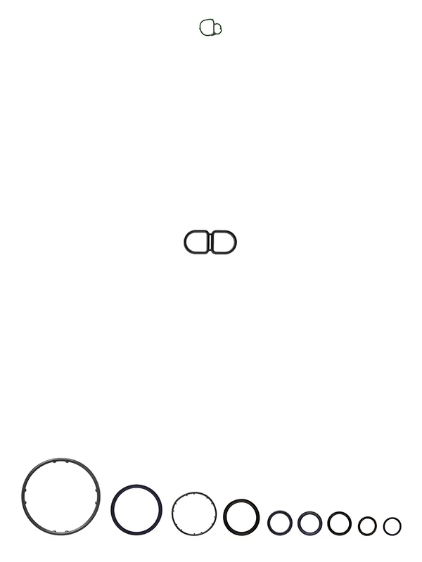 Fit 54264200 Complement Set