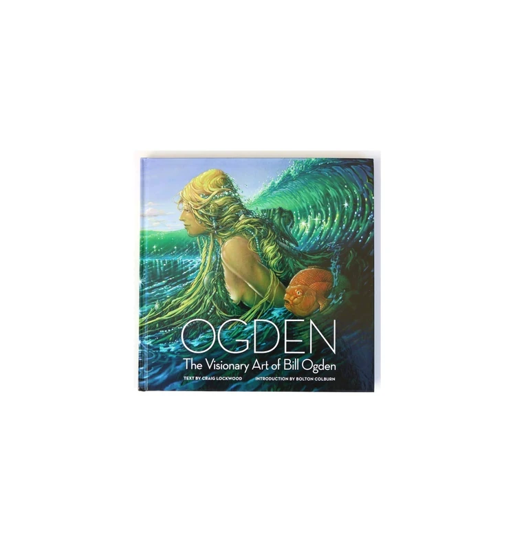 Surf System Unisex Adult Books, Multi-Colour, One Size